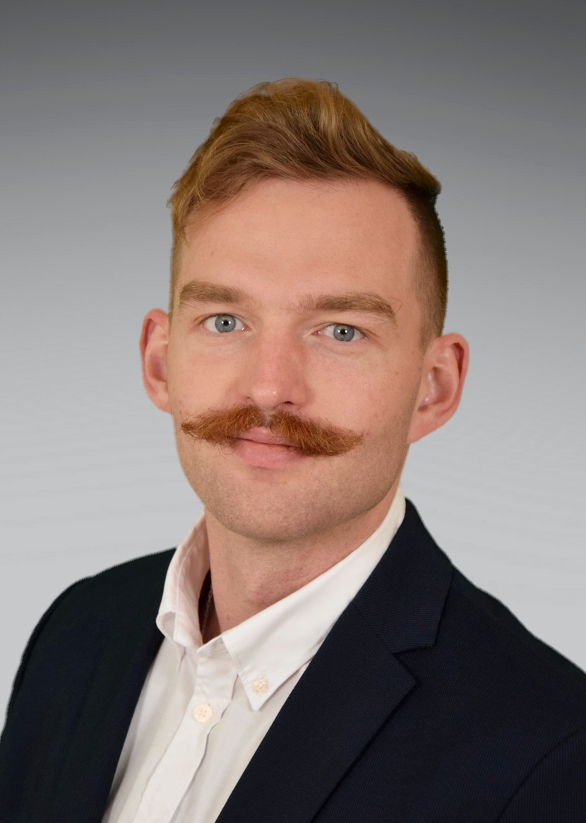 Manfred Schmidt - IT Professional